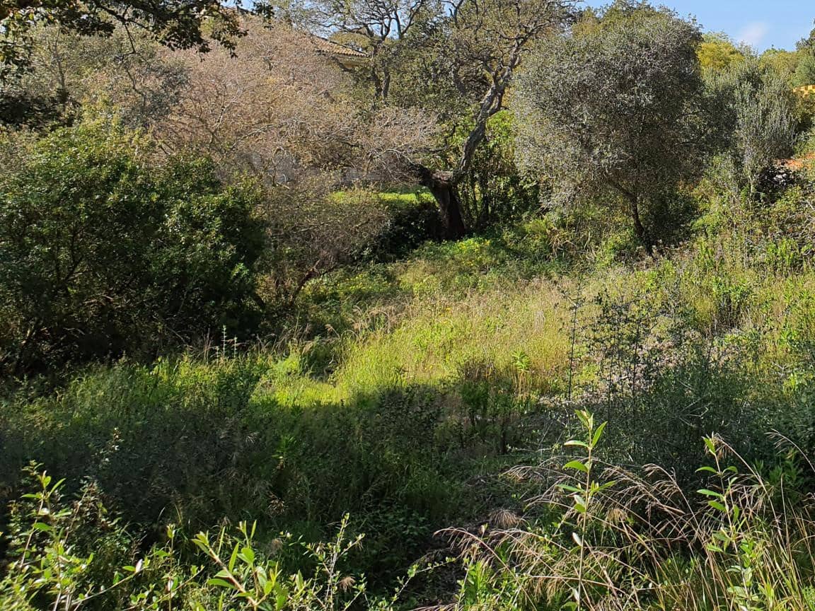 Terrain à Bâtir à vendre à Sotogrande - 1 000 000 € (Ref: 10002211)