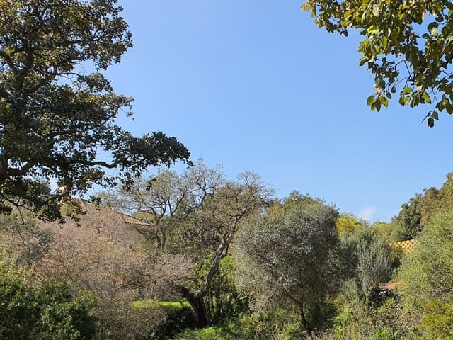 Działka budowlana na sprzedaż w Sotogrande, San Roque - 1 000 000 € (Ref: 10002211)