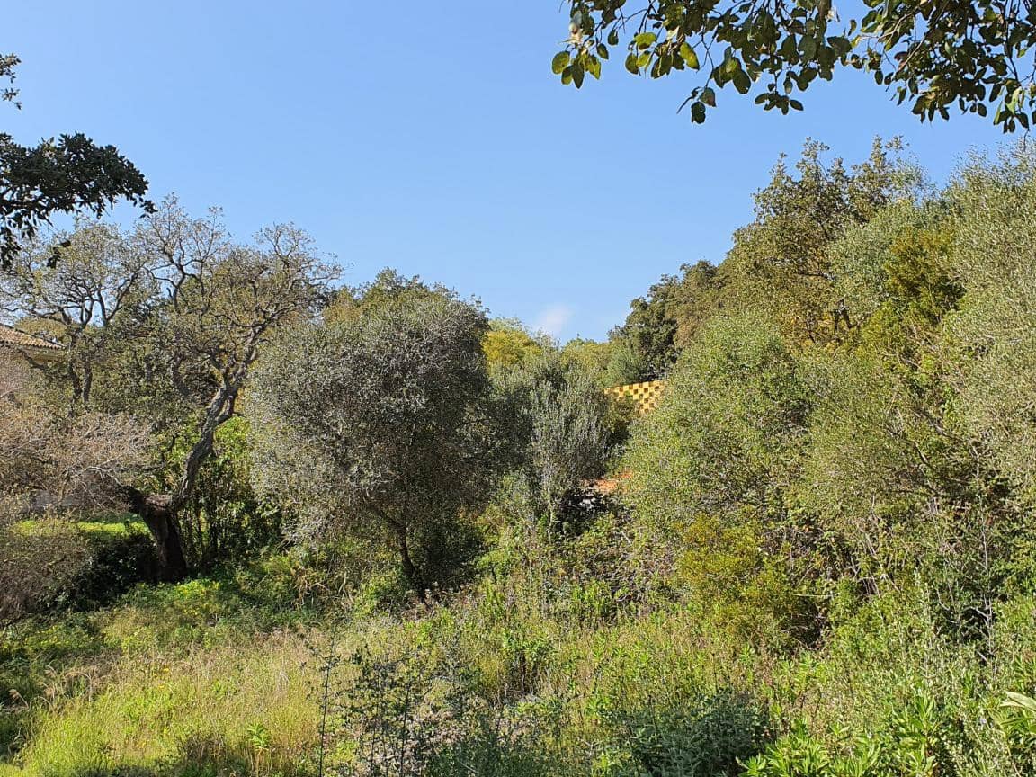 Terrain à Bâtir à vendre à Sotogrande - 1 000 000 € (Ref: 10002211)