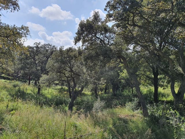 Działka budowlana na sprzedaż w Sotogrande, San Roque - 1 000 000 € (Ref: 10002211)