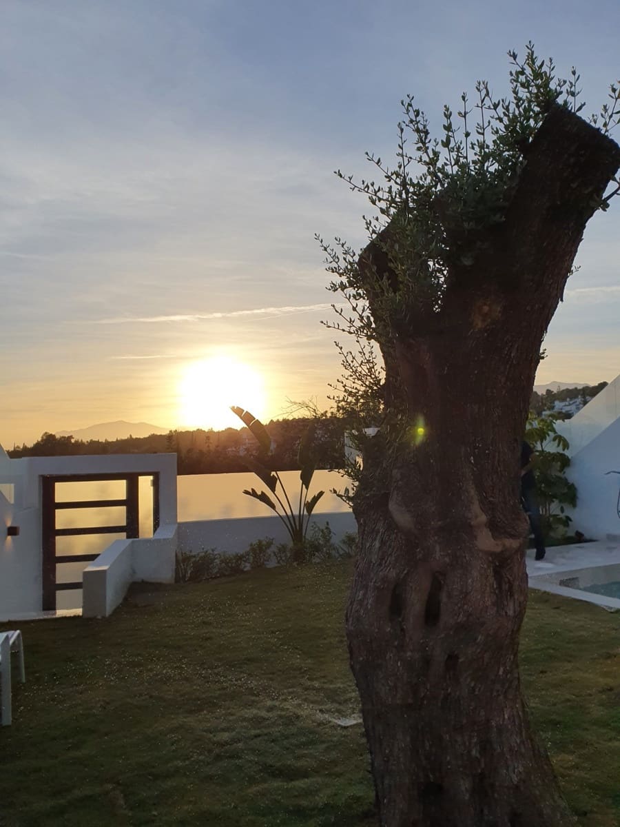3 chambre Villa/Maison à vendre à Marbella avec piscine garage - 1 690 000 € (Ref: 10002220)