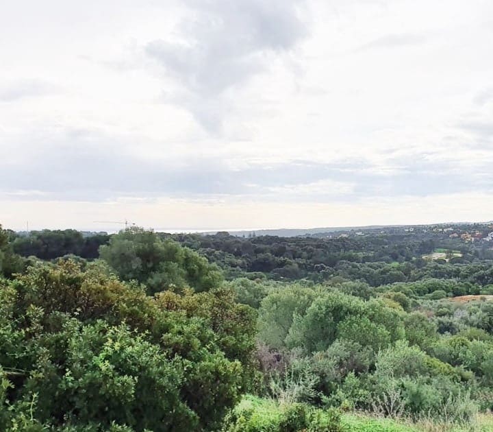 Area Edificabile in vendita in Sotogrande - 850.000 € (Rif: 10066122)