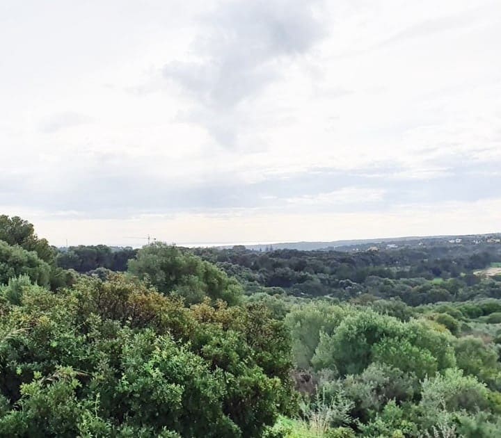 Area Edificabile in vendita in Sotogrande - 850.000 € (Rif: 10066122)