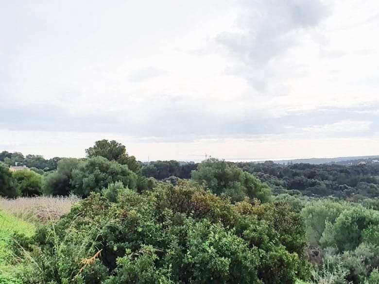 Area Edificabile in vendita in Sotogrande - 850.000 € (Rif: 10066122)