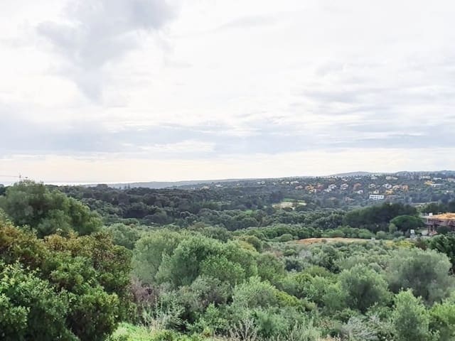 Building Plot for sale in Sotogrande Alto, San Roque - € 850,000 (Ref: 10066122)
