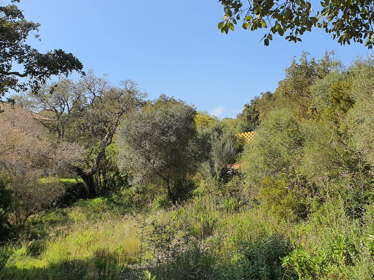 Solar/Parcela en Sotogrande en venta - 1.000.000 € (Ref: 10066123)