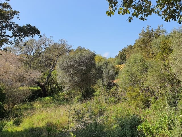 Bouwgrond te koop in Sotogrande, San Roque - € 1.000.000 (Ref: 10066123)