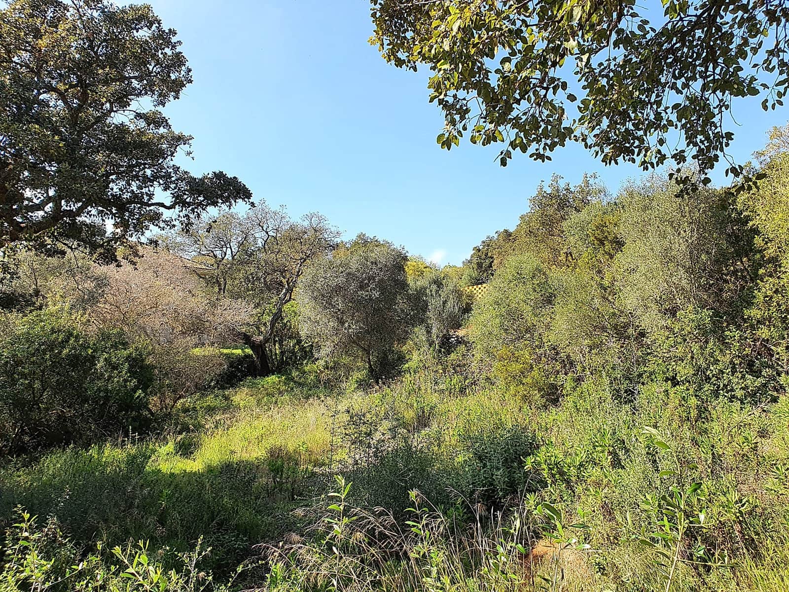 Solar/Parcela en Sotogrande en venta - 1.000.000 € (Ref: 10066123)