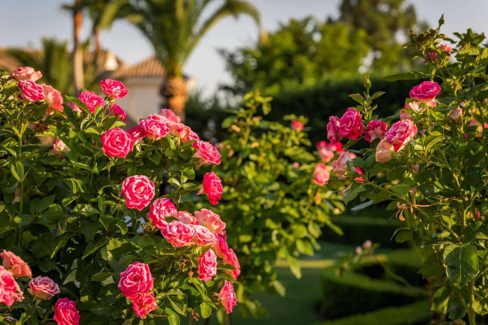 7 slaapkamer Villa te koop in Marbella met zwembad - € 9.500.000 (Ref: 10066353)