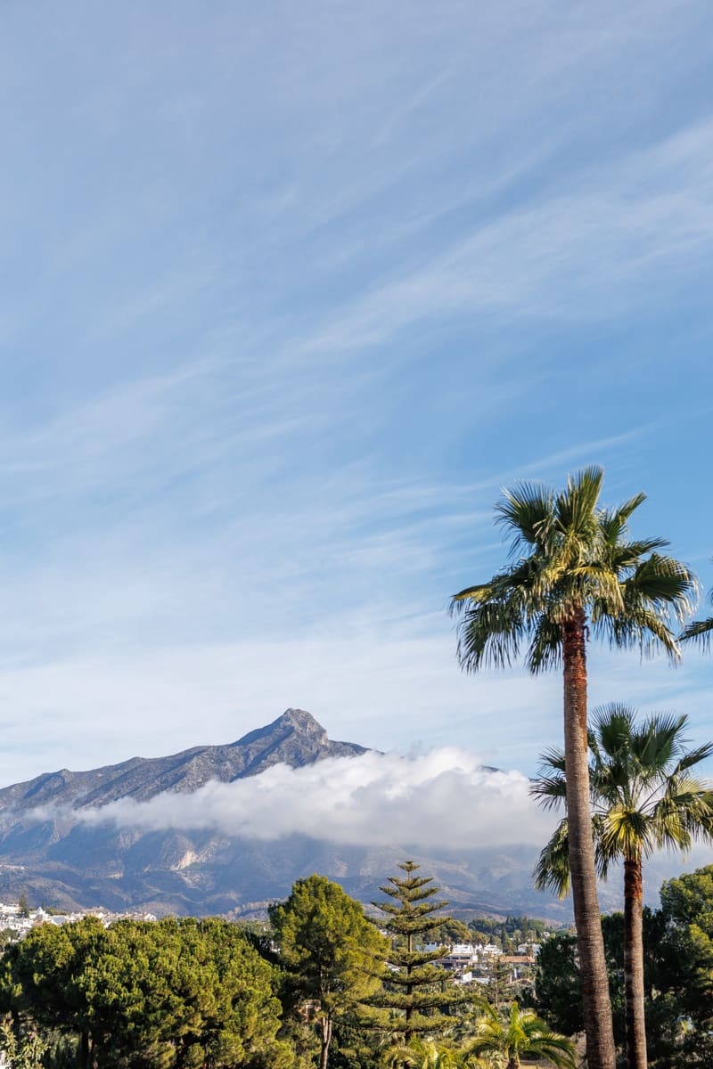 5 bedroom Villa for sale in Marbella with pool - € 5,495,000 (Ref: 10066603)
