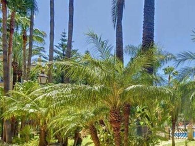 4 slaapkamer Appartement te koop in San Pedro de Alcantara met zwembad - € 717.000 (Ref: 10066675)