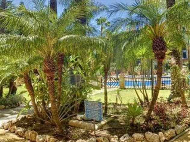 4 slaapkamer Appartement te koop in San Pedro de Alcantara met zwembad - € 717.000 (Ref: 10066675)