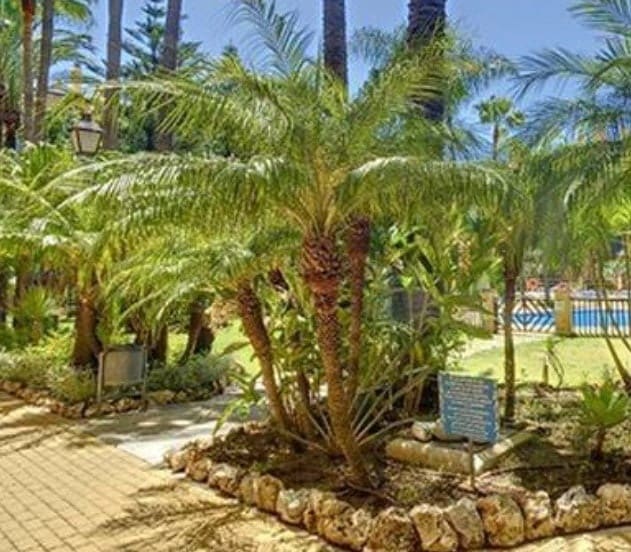 Apartamento de 4 habitaciones en San Pedro de Alcantara en venta con piscina - 717.000 € (Ref: 10066675)