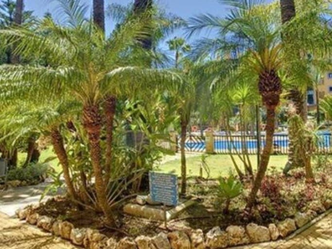 Apartamento de 4 habitaciones en San Pedro de Alcantara en venta con piscina - 717.000 € (Ref: 10066675)