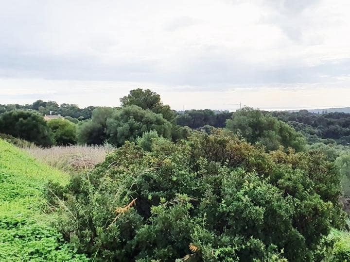 Tontti myytävänä paikassa Sotogrande - 685 000 € (Ref: 9405642)