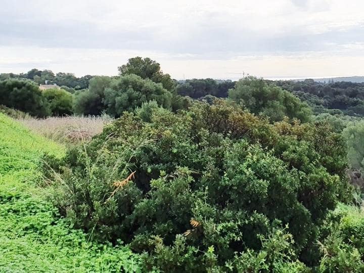 Terreno para Construção para venda em Sotogrande - 685 000 € (Ref: 9405642)