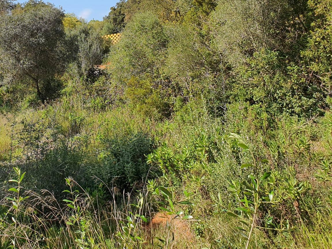 Terreno para Construção para venda em Sotogrande - 725 000 € (Ref: 9405643)