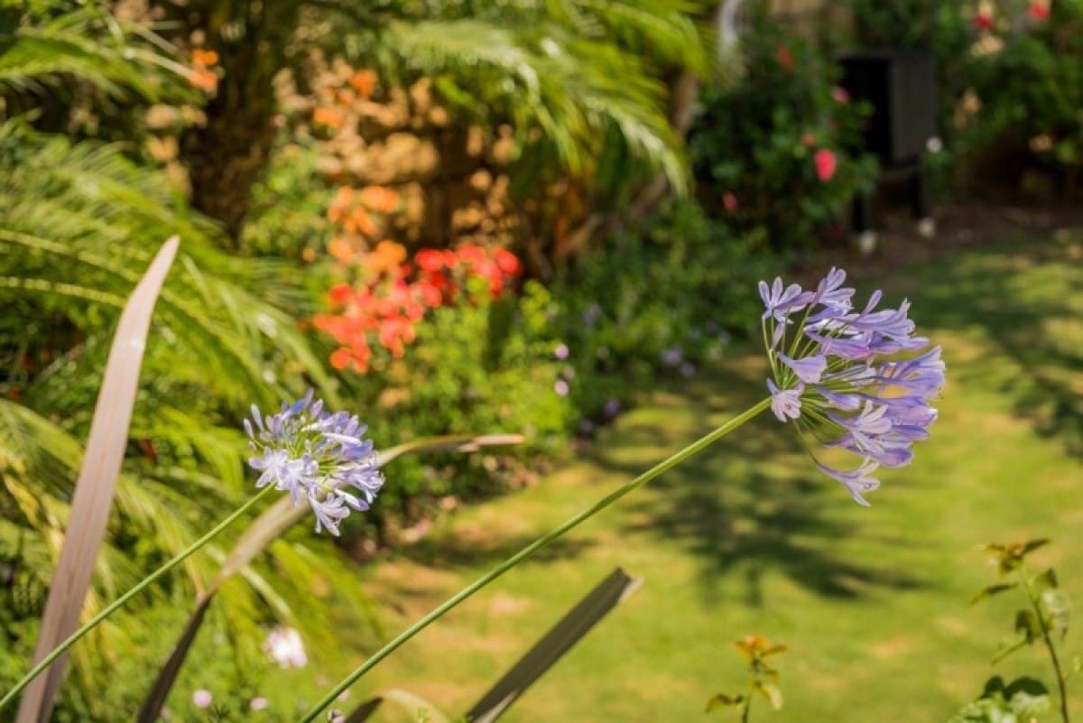 2 Zimmer Apartment zu verkaufen in Marbella mit Pool Garage - 380.000 € (Ref: 9447484)