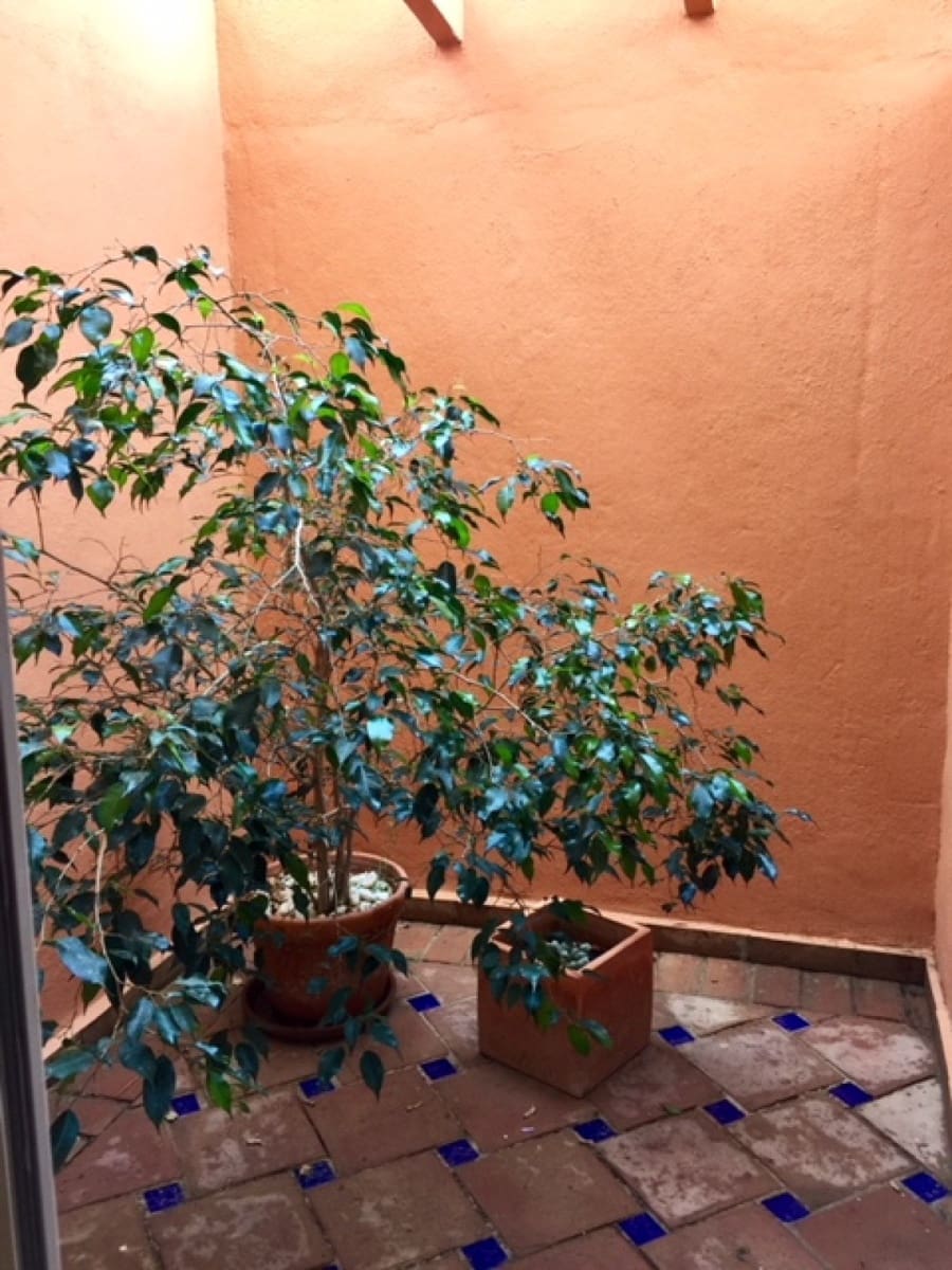 3 Zimmer Apartment zu verkaufen in Marbella mit Pool Garage - 460.000 € (Ref: 9447636)