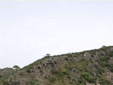 Bouwgrond te koop in Benahavis - € 1.500.000 (Ref: 9447861)