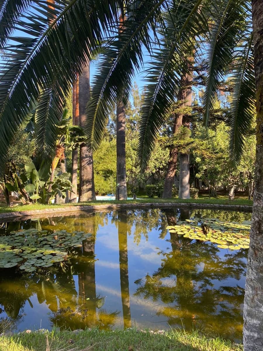 3 chambre Villa/Maison à vendre à Marbella avec piscine garage - 2 950 000 € (Ref: 9447923)