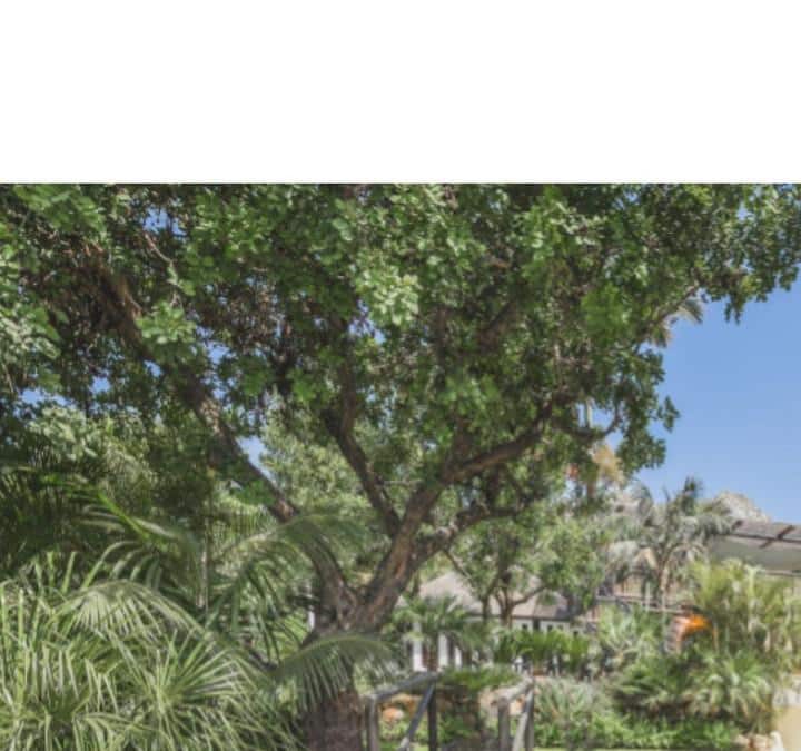 8 Zimmer Villa zu verkaufen in Marbella mit Pool Garage - 12.000.000 € (Ref: 9448113)