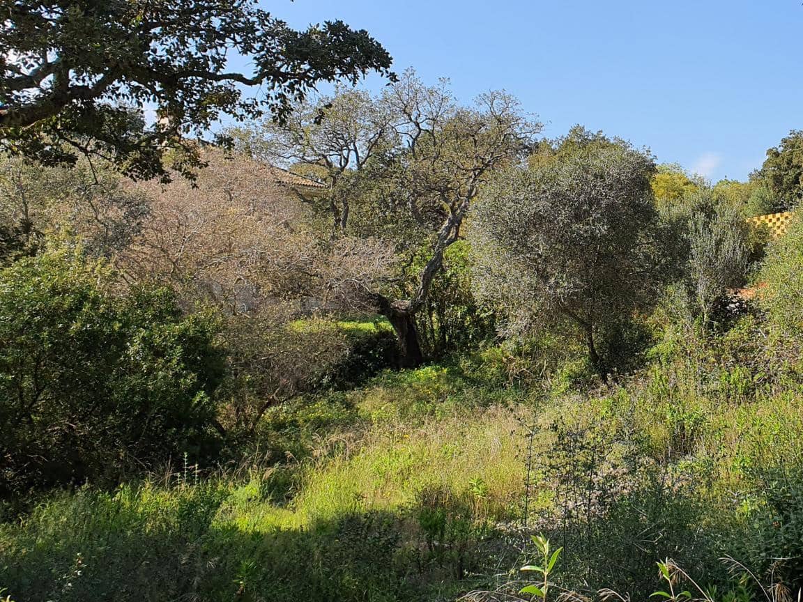 Bouwgrond te koop in Sotogrande - € 725.000 (Ref: 9448319)