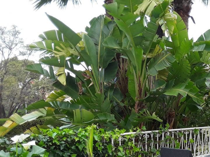 2 slaapkamer Appartement te koop in Marbella met zwembad - € 299.000 (Ref: 9507068)