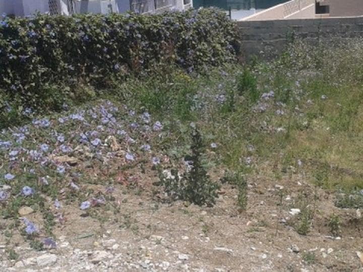 Building Plot for sale in Marbella - € 340,000 (Ref: 9507313)