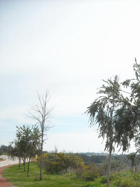 Building Plot for sale in Sotogrande - € 685,000 (Ref: 9507869)