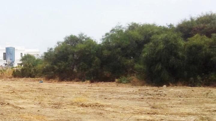 Building Plot for sale in Sotogrande - € 685,000 (Ref: 9507869)