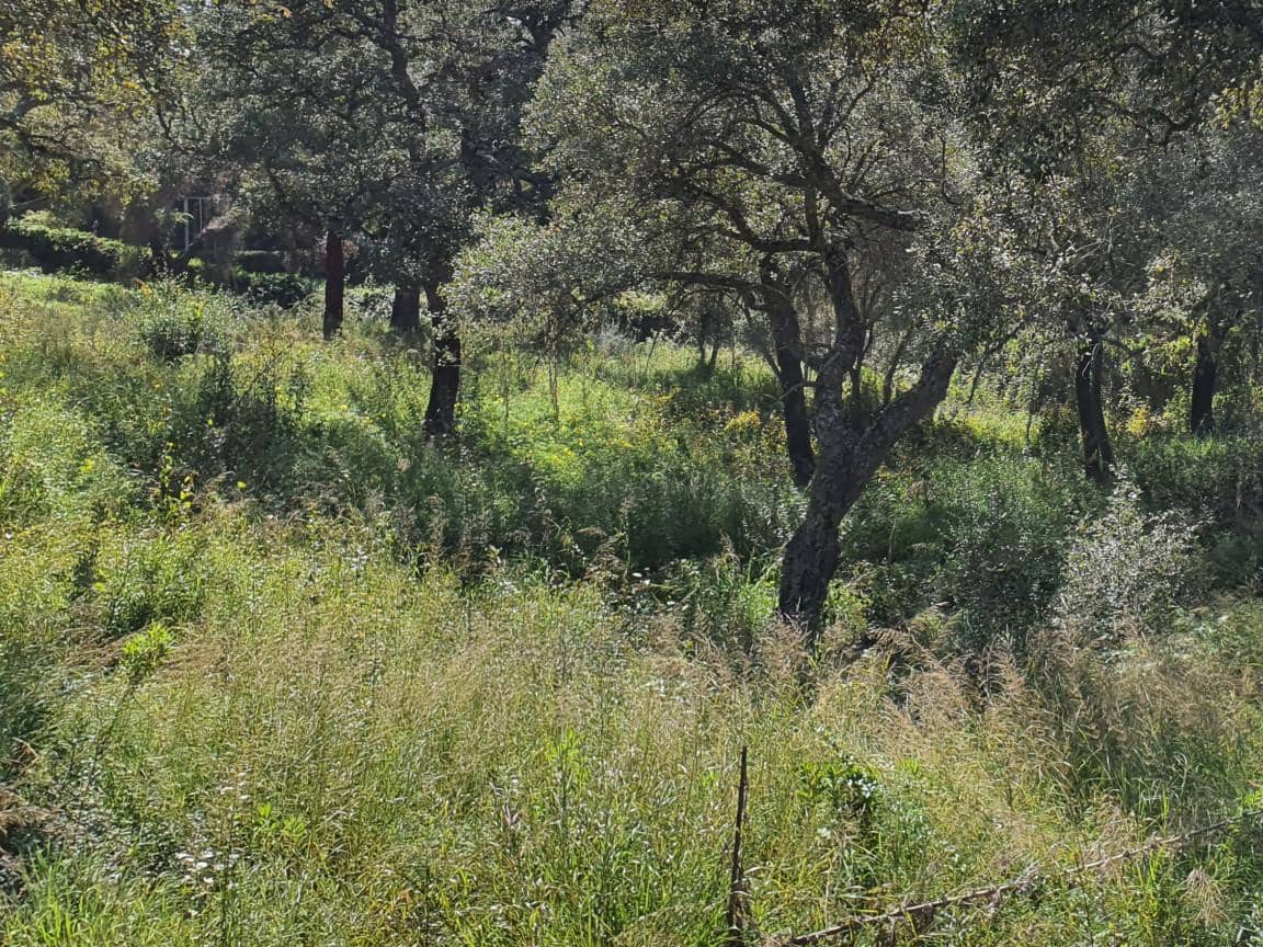 Solar/Parcela en Sotogrande en venta - 725.000 € (Ref: 9507871)