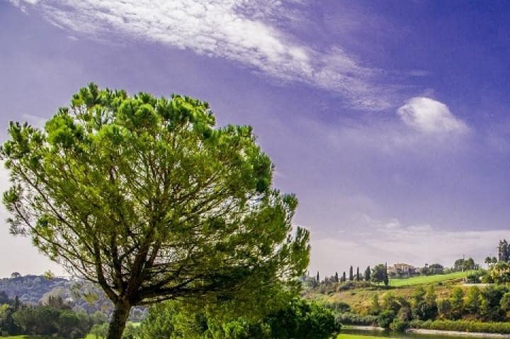 3 bedroom Apartment for sale in Benahavis with pool garage - € 375,000 (Ref: 9553354)