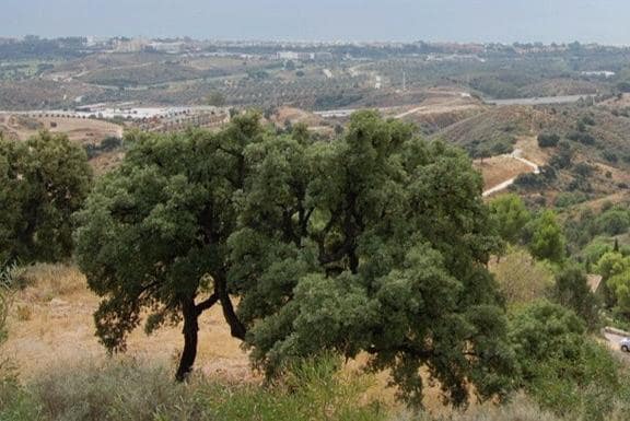 Building Plot for sale in Marbella - € 745,000 (Ref: 9553705)