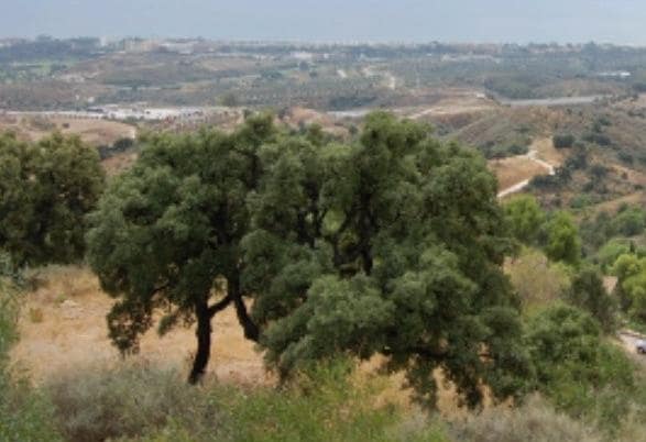 Building Plot for sale in Marbella - € 745,000 (Ref: 9553705)