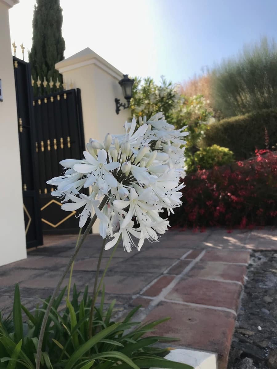 6 bedroom Villa for sale in Benahavis with pool garage - € 3,450,000 (Ref: 9553711)