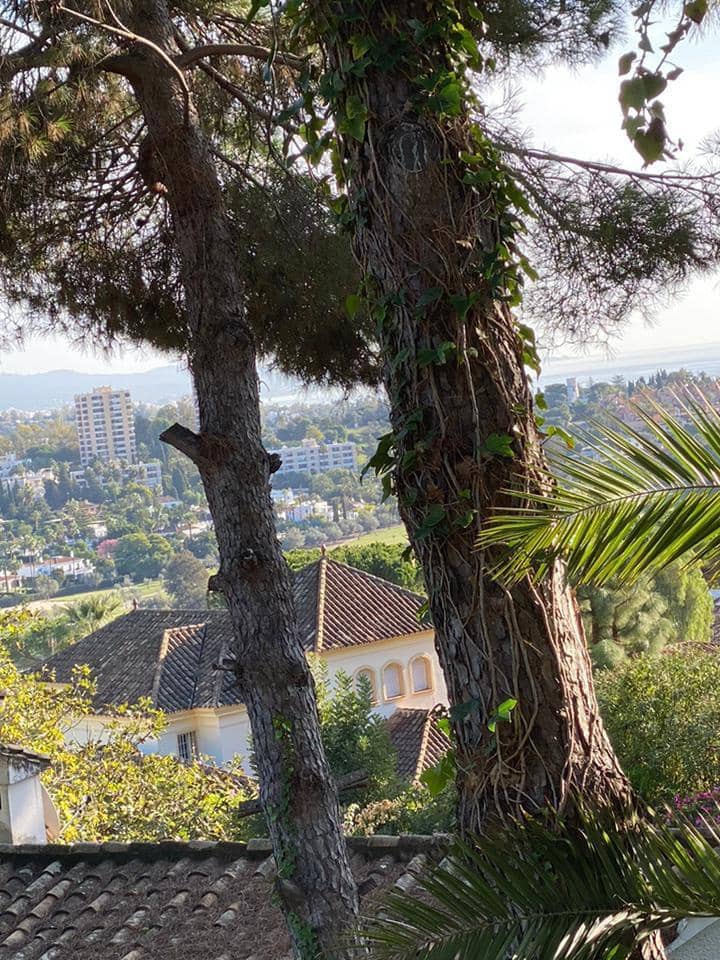 3 camera da letto Villa in vendita in Nueva Andalucia con piscina - 1.999.999 € (Rif: 9553921)