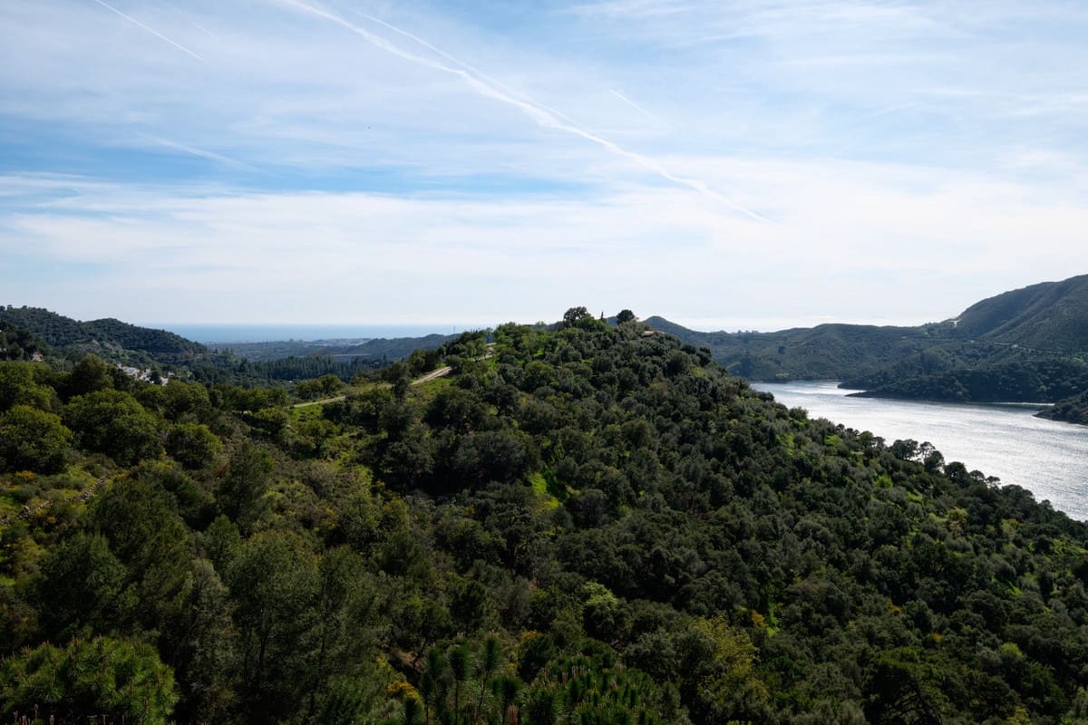 5 slaapkamer Villa te koop in Istan met zwembad garage - € 3.495.000 (Ref: 9553938)