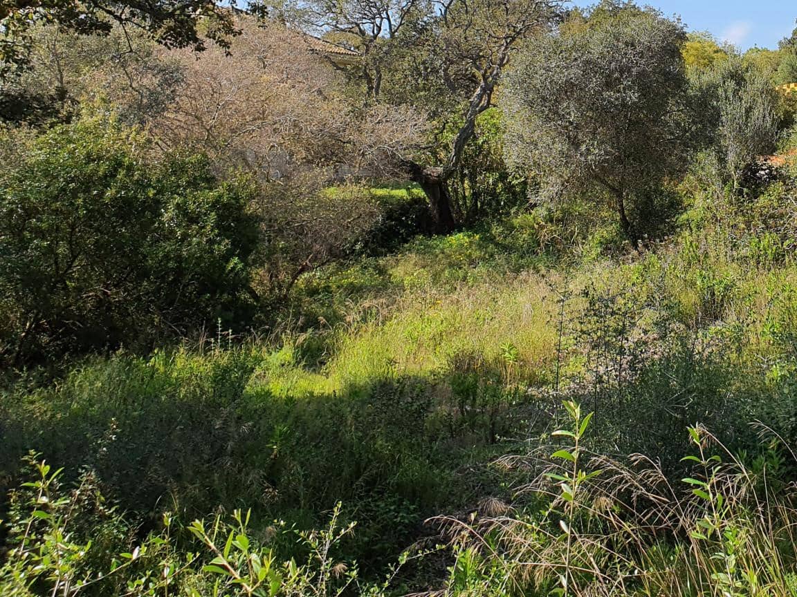 Byggegrund til salg i Sotogrande - € 725.000 (Ref: 9554131)