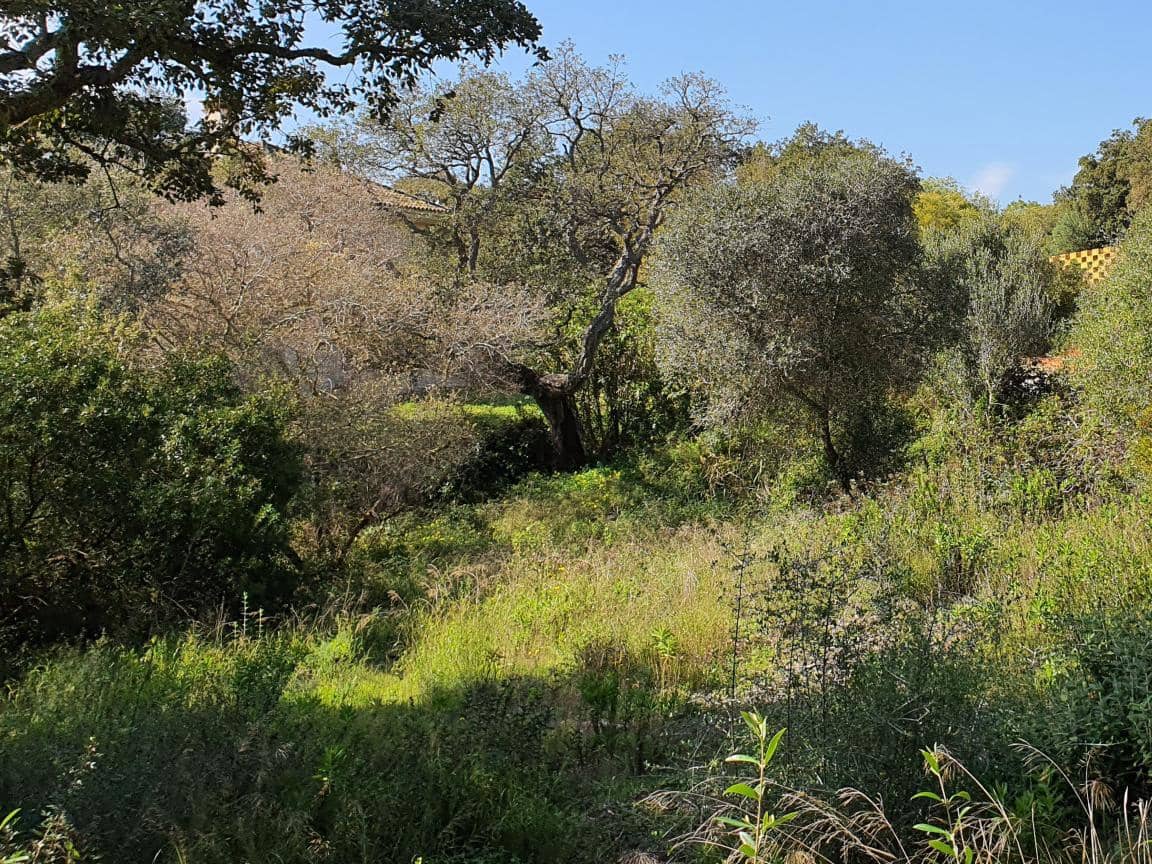 Byggegrund til salg i Sotogrande - € 725.000 (Ref: 9554131)