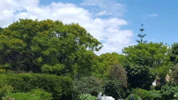 Apartamento de 2 habitaciones en Marbella en venta con piscina - 299.000 € (Ref: 9725235)