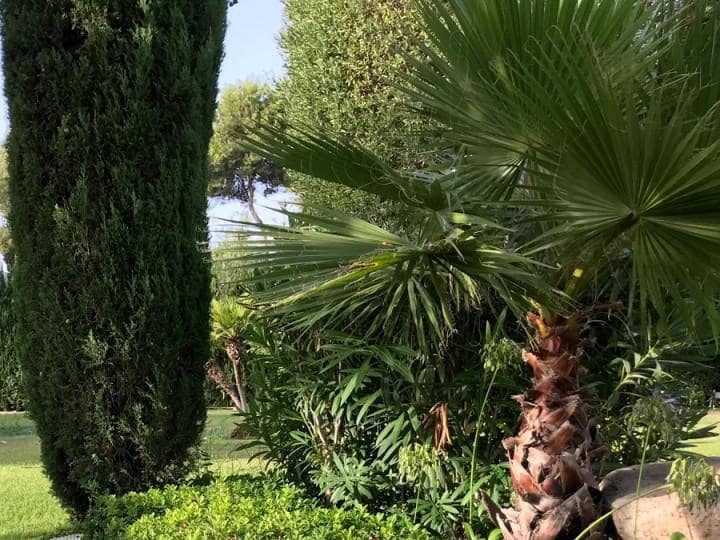 Byggegrund til salg i Marbella - € 1.000.000 (Ref: 9725544)