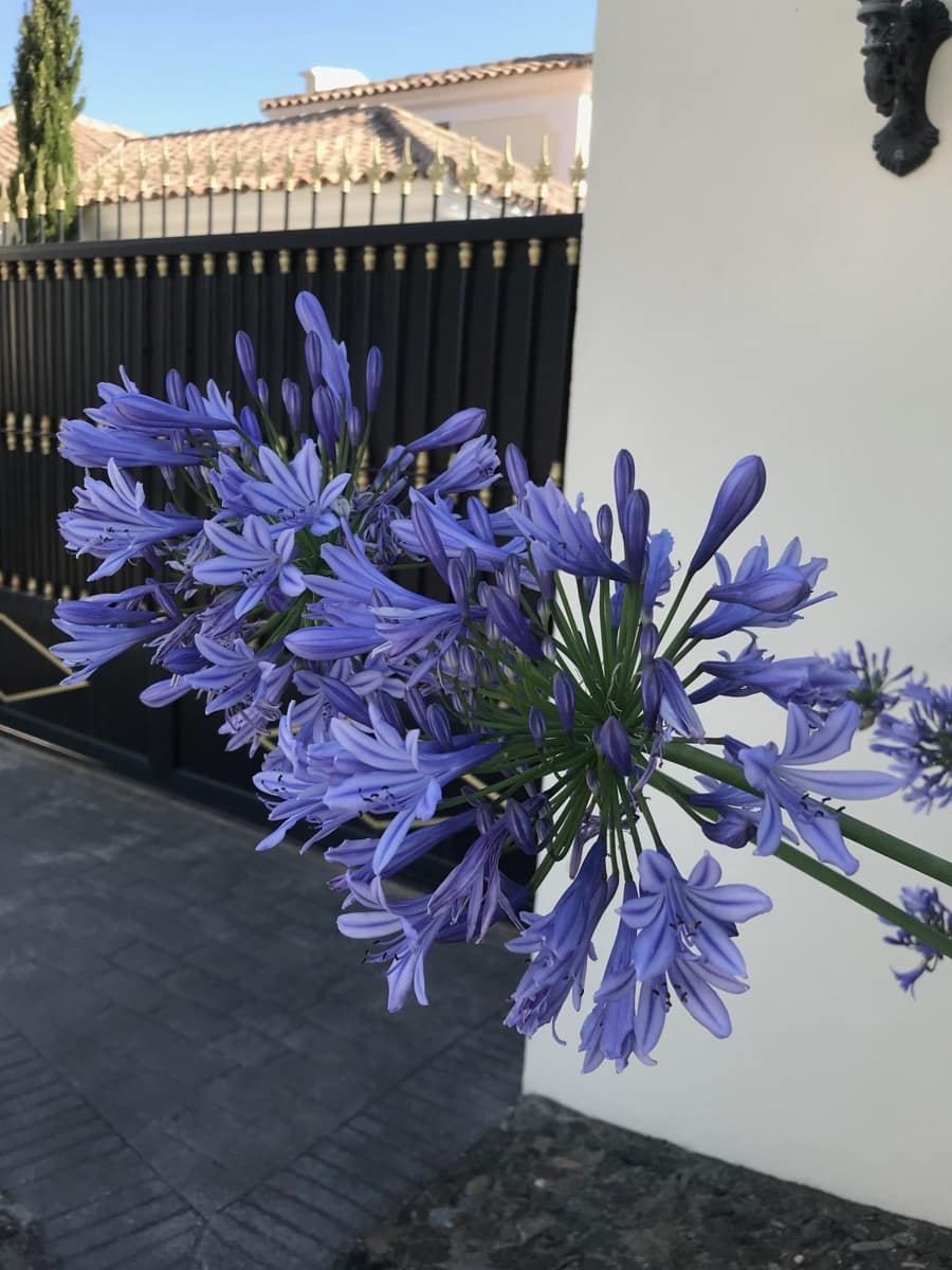 6 bedroom Villa for sale in Benahavis with pool garage - € 3,450,000 (Ref: 9725610)