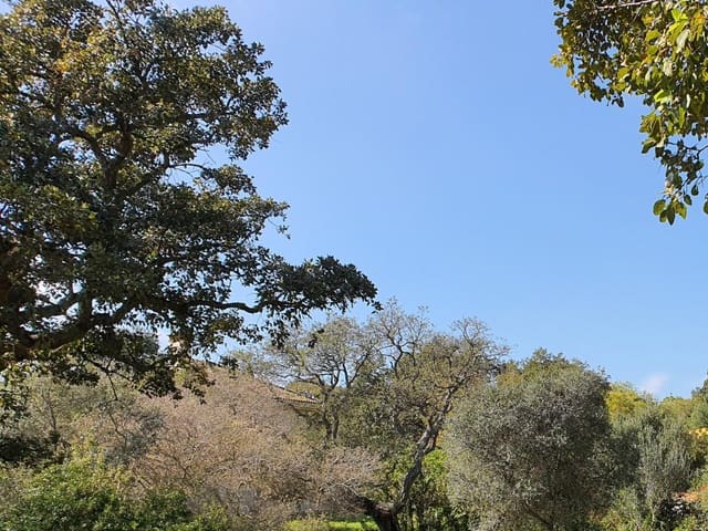 Bouwgrond te koop in Sotogrande, San Roque - € 725.000 (Ref: 9726005)