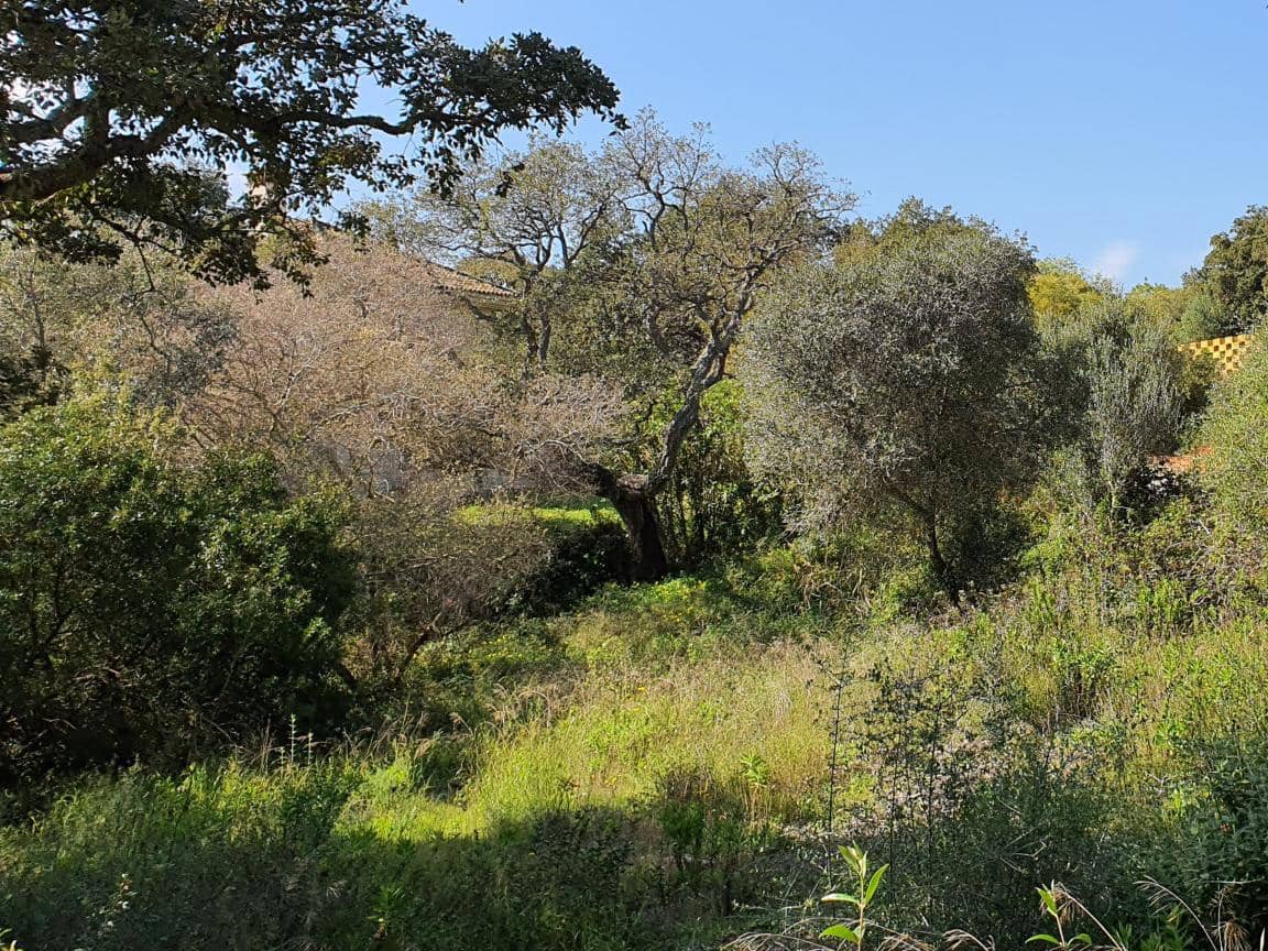 Działka budowlana na sprzedaż w Sotogrande - 725 000 € (Ref: 9726005)