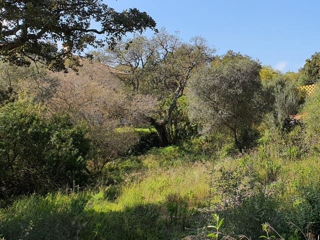 Bouwgrond te koop in Sotogrande, San Roque - € 725.000 (Ref: 9726005)