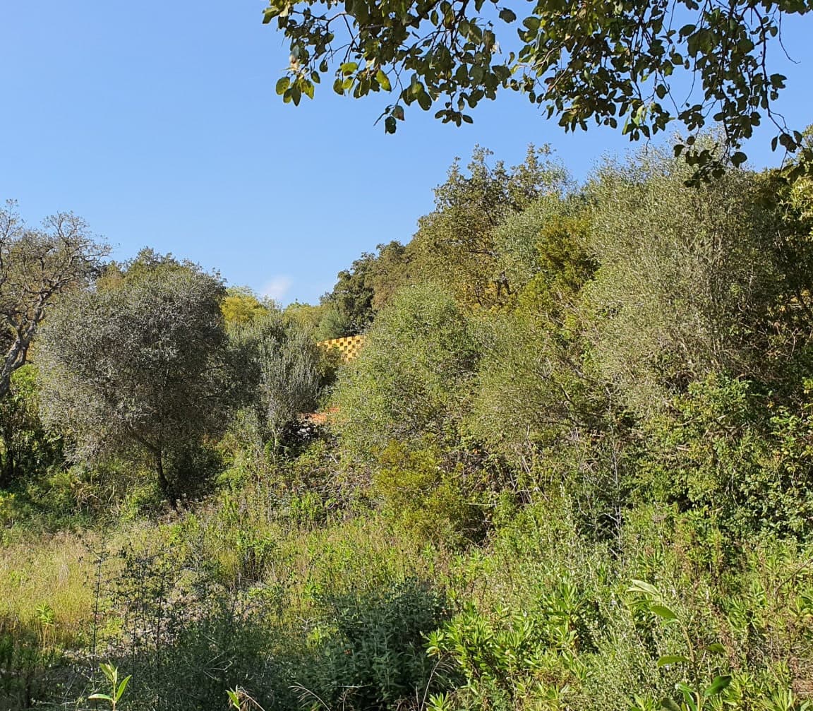 Solar/Parcela en Sotogrande en venta - 725.000 € (Ref: 9726005)