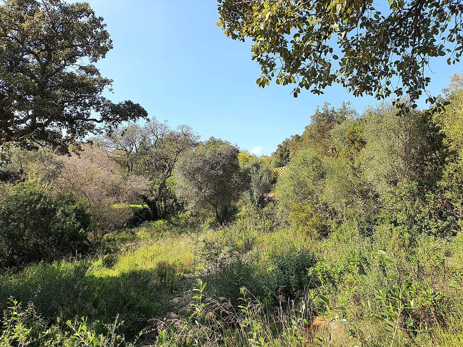 Solar/Parcela en Sotogrande en venta - 725.000 € (Ref: 9726005)