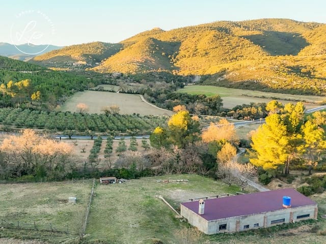 Mark till salu i Biure - 180 000 € (Ref: 9431689)