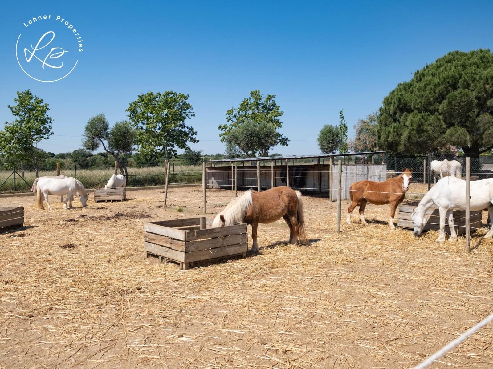3 bedroom Finca/Country House for sale in Pedret i Marza with pool garage - € 1,980,000 (Ref: 9899164)